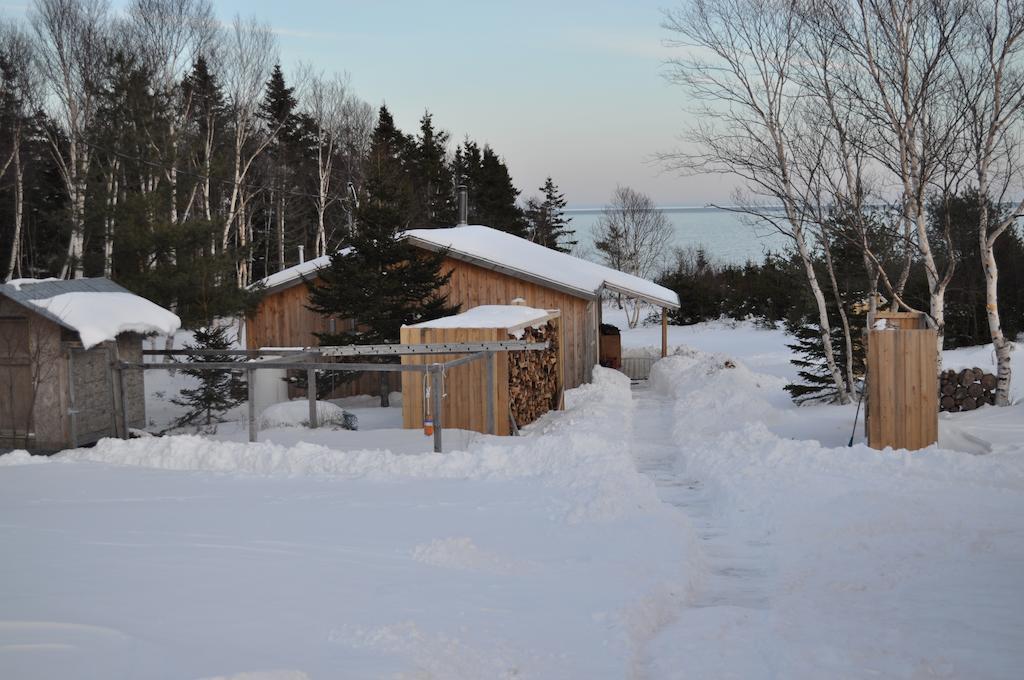 沉睡驼鹿山林小屋 Birch Plain 外观 照片