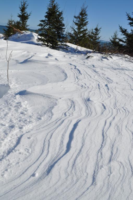 沉睡驼鹿山林小屋 Birch Plain 外观 照片
