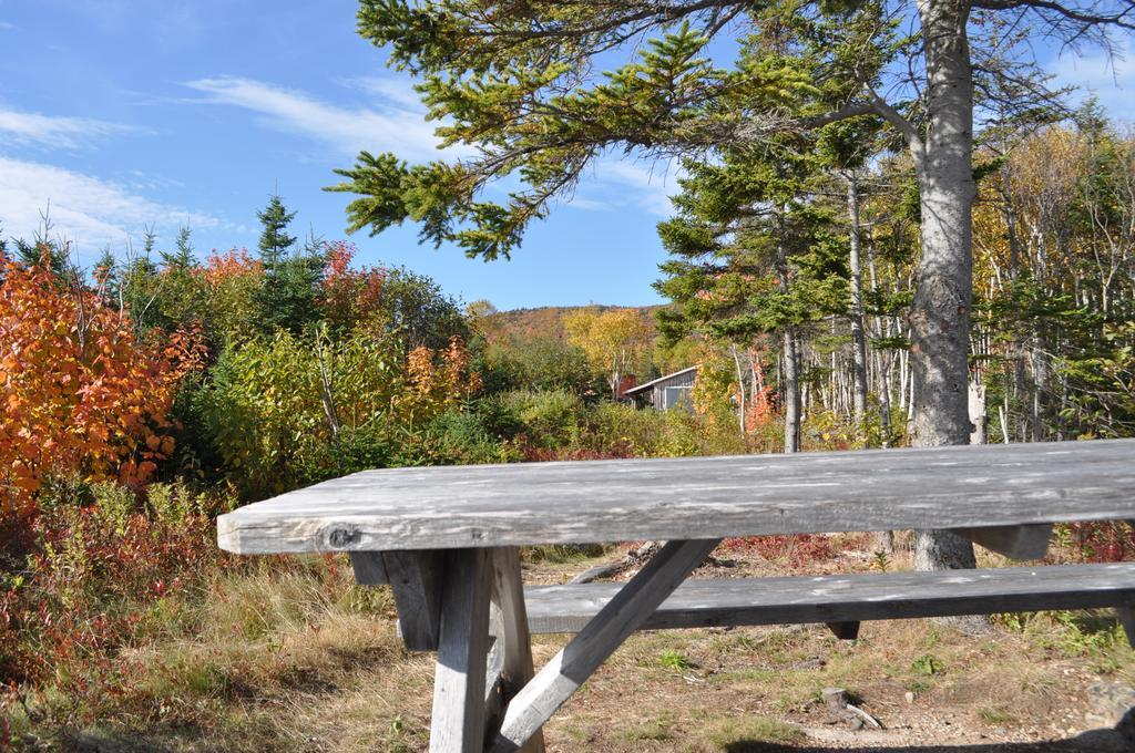 沉睡驼鹿山林小屋 Birch Plain 外观 照片