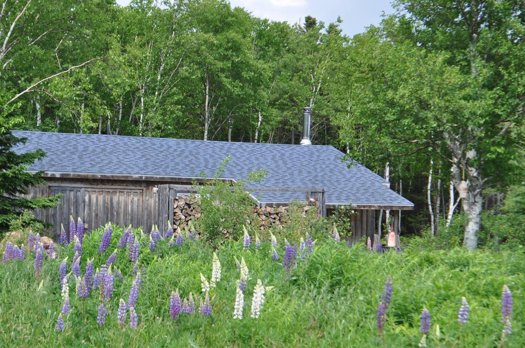 沉睡驼鹿山林小屋 Birch Plain 外观 照片