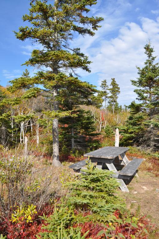 沉睡驼鹿山林小屋 Birch Plain 外观 照片