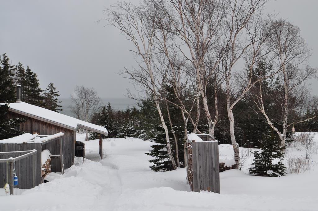 沉睡驼鹿山林小屋 Birch Plain 外观 照片