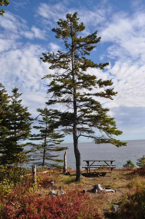 沉睡驼鹿山林小屋 Birch Plain 外观 照片