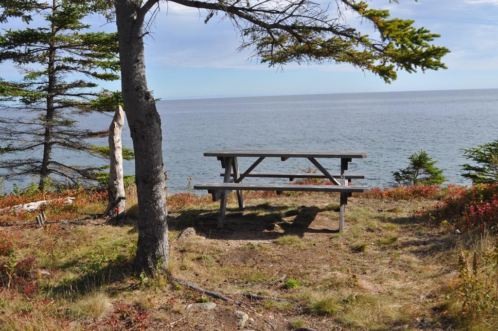 沉睡驼鹿山林小屋 Birch Plain 外观 照片