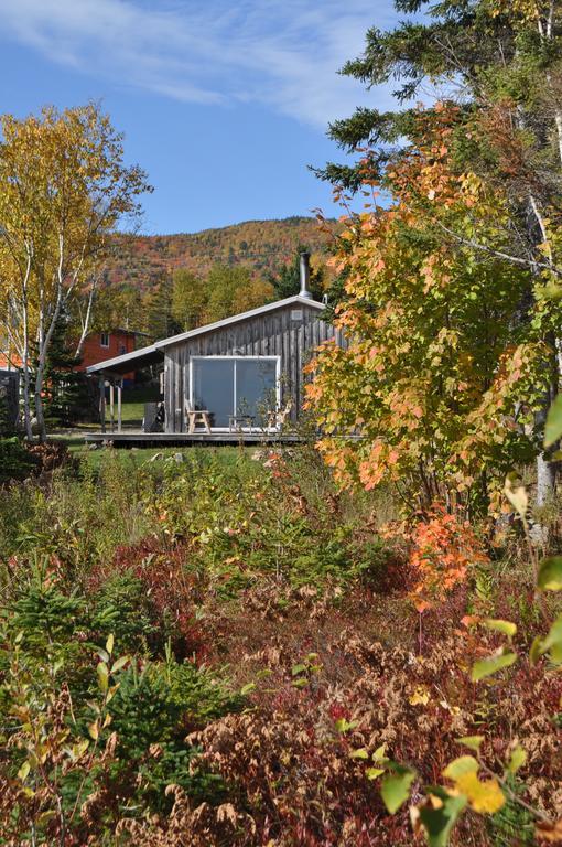沉睡驼鹿山林小屋 Birch Plain 外观 照片