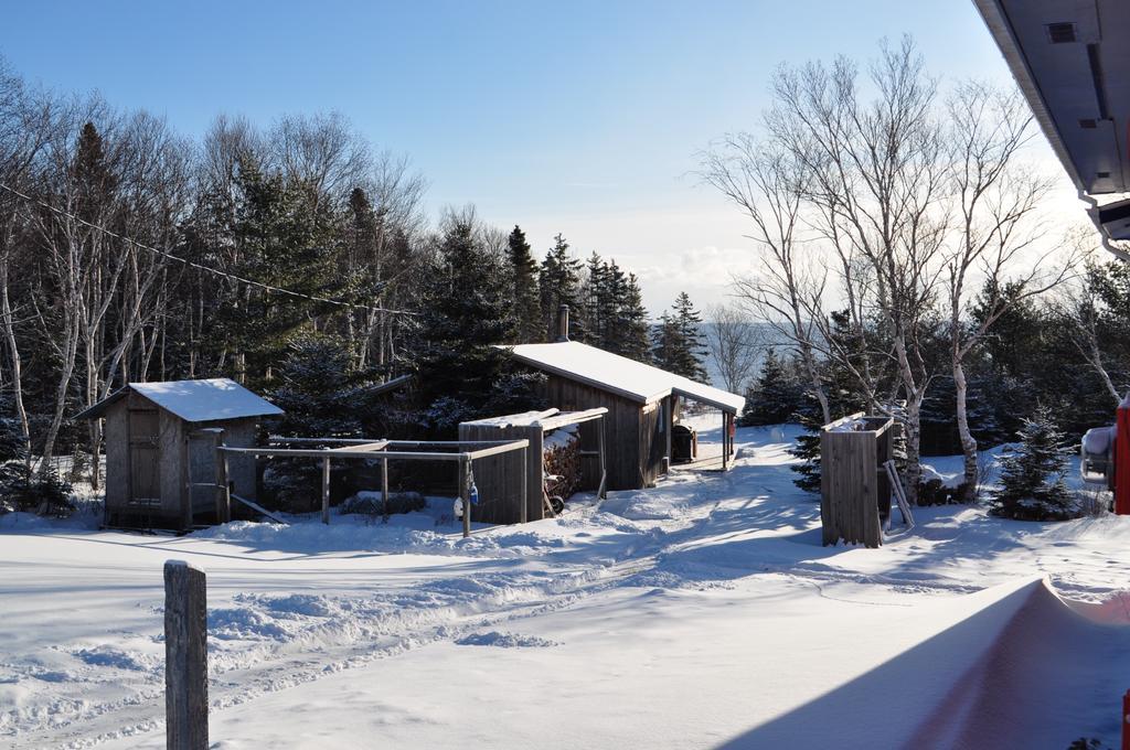沉睡驼鹿山林小屋 Birch Plain 外观 照片